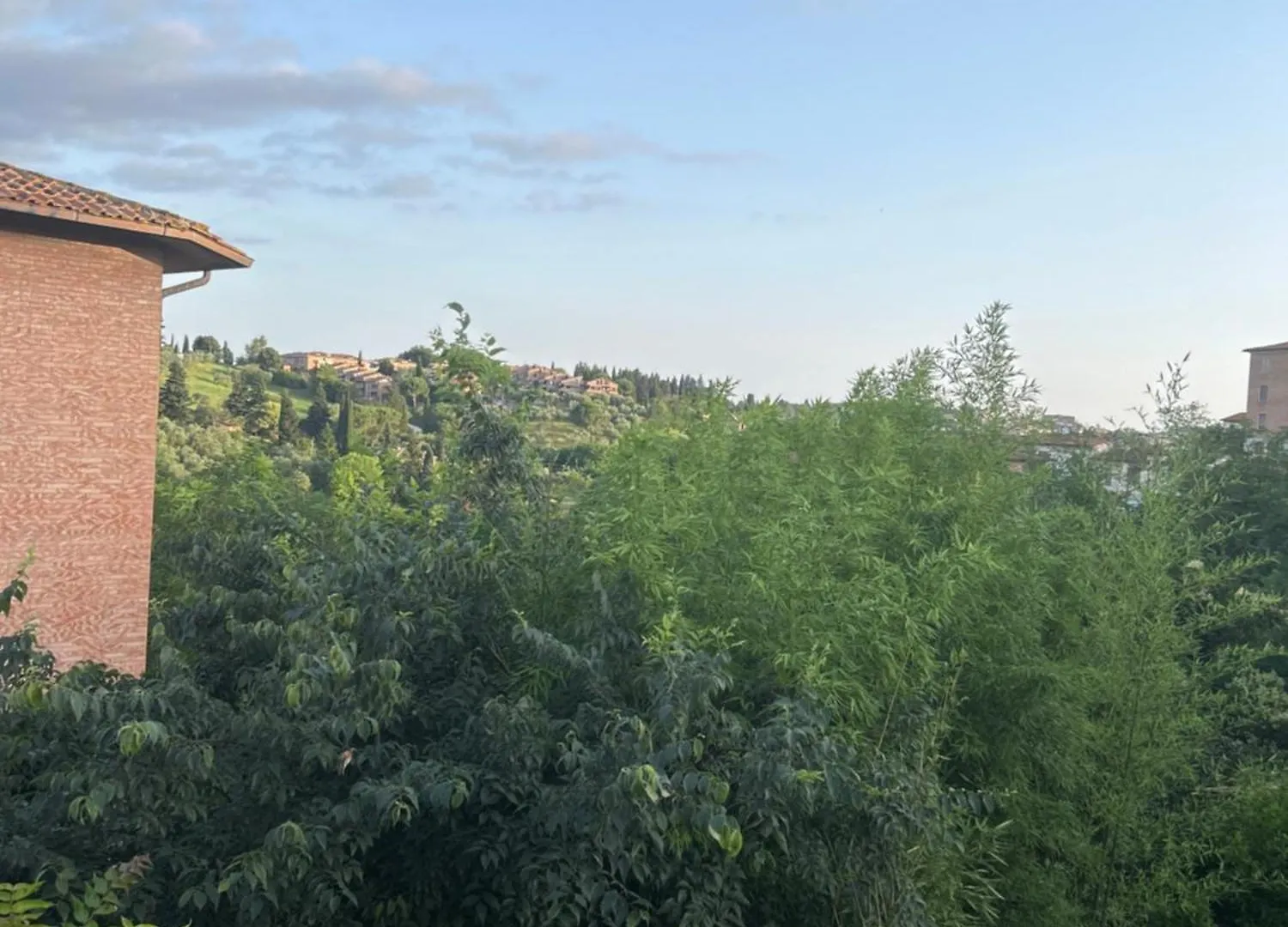 Homestay Divine Room Siena